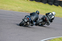 PJ-Motorsport-2019;anglesey-no-limits-trackday;anglesey-photographs;anglesey-trackday-photographs;enduro-digital-images;event-digital-images;eventdigitalimages;no-limits-trackdays;peter-wileman-photography;racing-digital-images;trac-mon;trackday-digital-images;trackday-photos;ty-croes